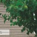 Сайдинг Ю-Пласт TIMBERBLOCK Пихта (Тимберблок) Cахалинская купить в Чехове