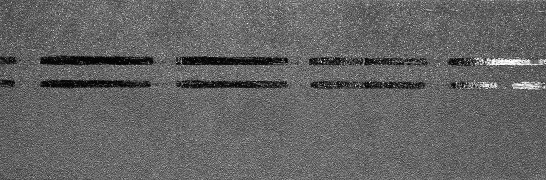 Коньково-карнизная черепица Docke Premium, черника купить в Чехове