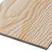 Фиброцементные панели FCSPRO Decor Wood Лиственница купить в Чехове