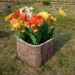 Цветник КАНЬОН купить в Чехове