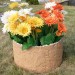 Цветник КАНЬОН купить в Чехове
